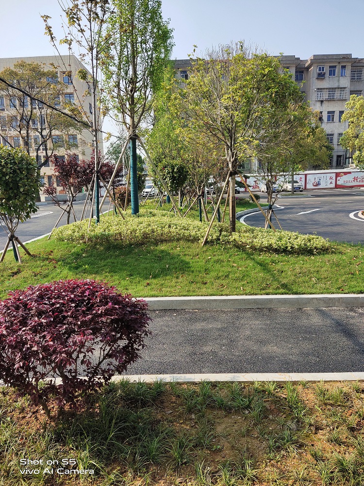 校園環(huán)境 校園環(huán)境